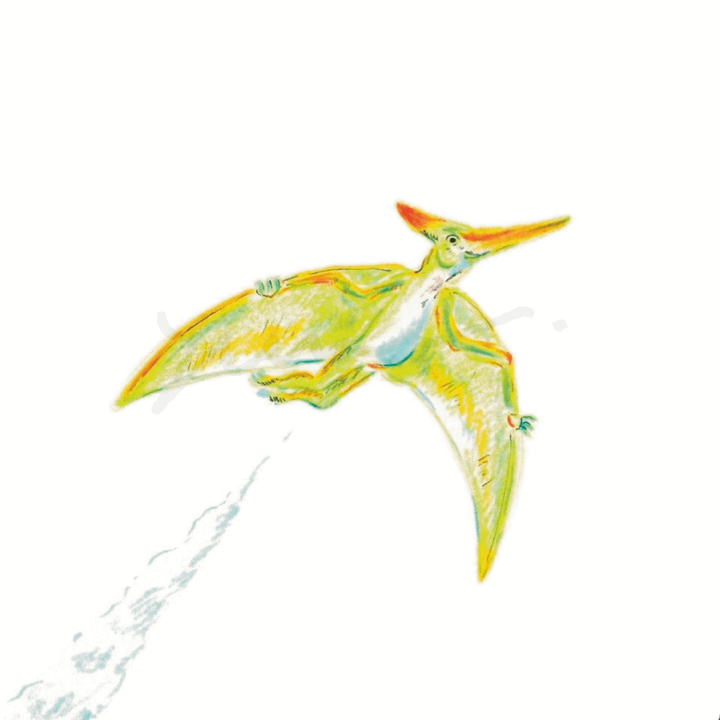 Pteranodon drawing